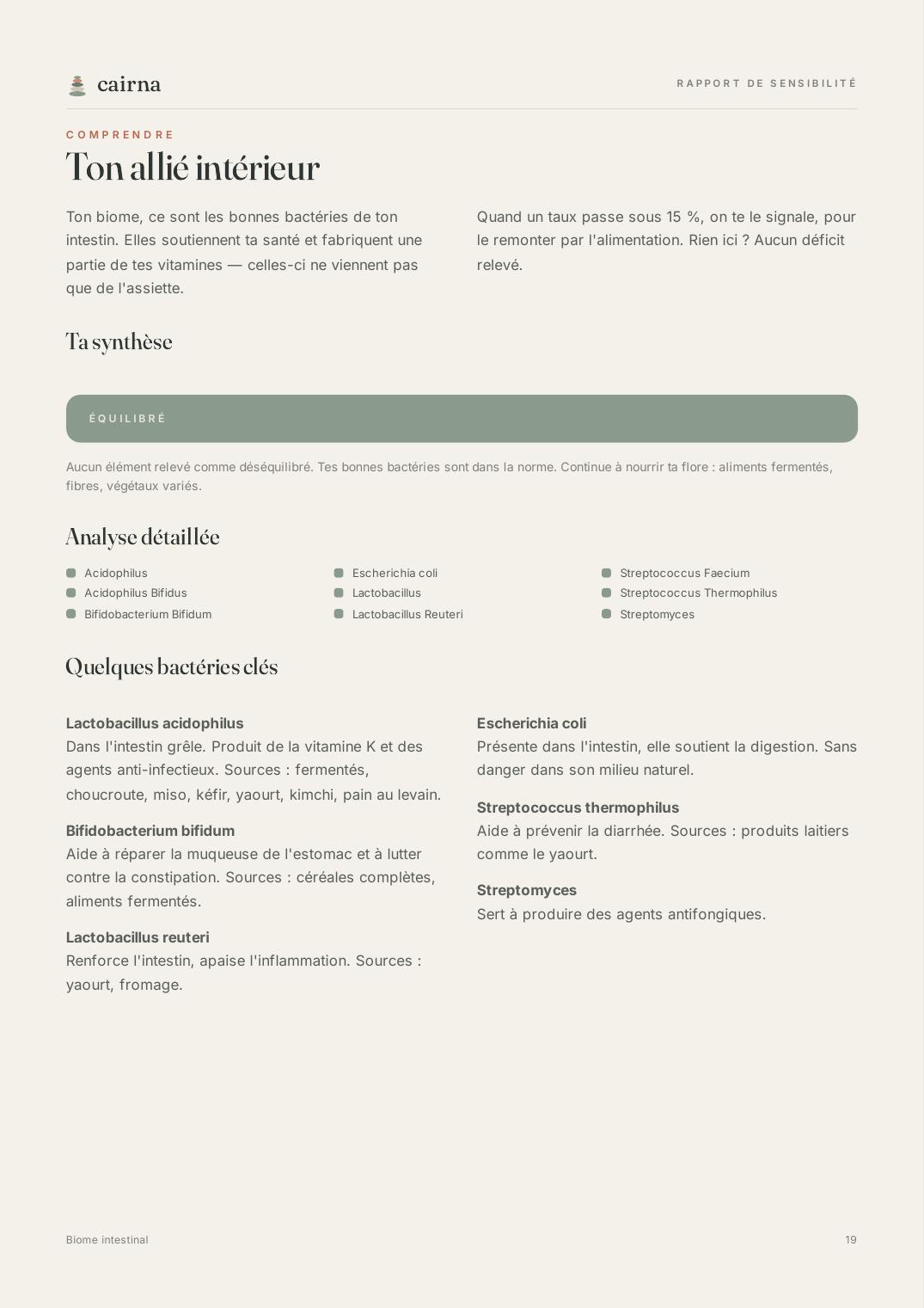 Exemple de rapport — page 19